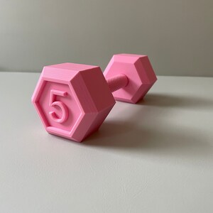 May include: A pink plastic dumbbell with a hexagonal weight plate that says "5" on it.
