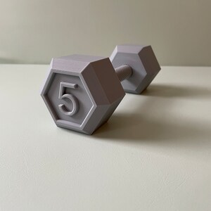 May include: A gray 5-pound dumbbell with a hexagonal shape. The dumbbell is made of plastic and has a smooth surface.