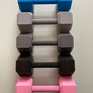 May include: Five pairs of dumbbells in different colors: blue, gray, black, and pink. The dumbbells are arranged vertically, with the blue dumbbells at the top and the pink dumbbells at the bottom.