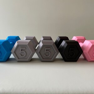 May include: Six 5-pound dumbbells in different colors: blue, gray, black, and pink. The dumbbells are arranged in a row, with the blue dumbbell on the left and the pink dumbbell on the right.