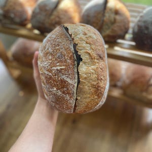 Op de afbeelding: Een close-up van een vers gebakken zuurdesembrood met een donkerbruine korst en een lichtbruin interieur. Het brood wordt in een hand gehouden en is klaar om te worden gesneden.