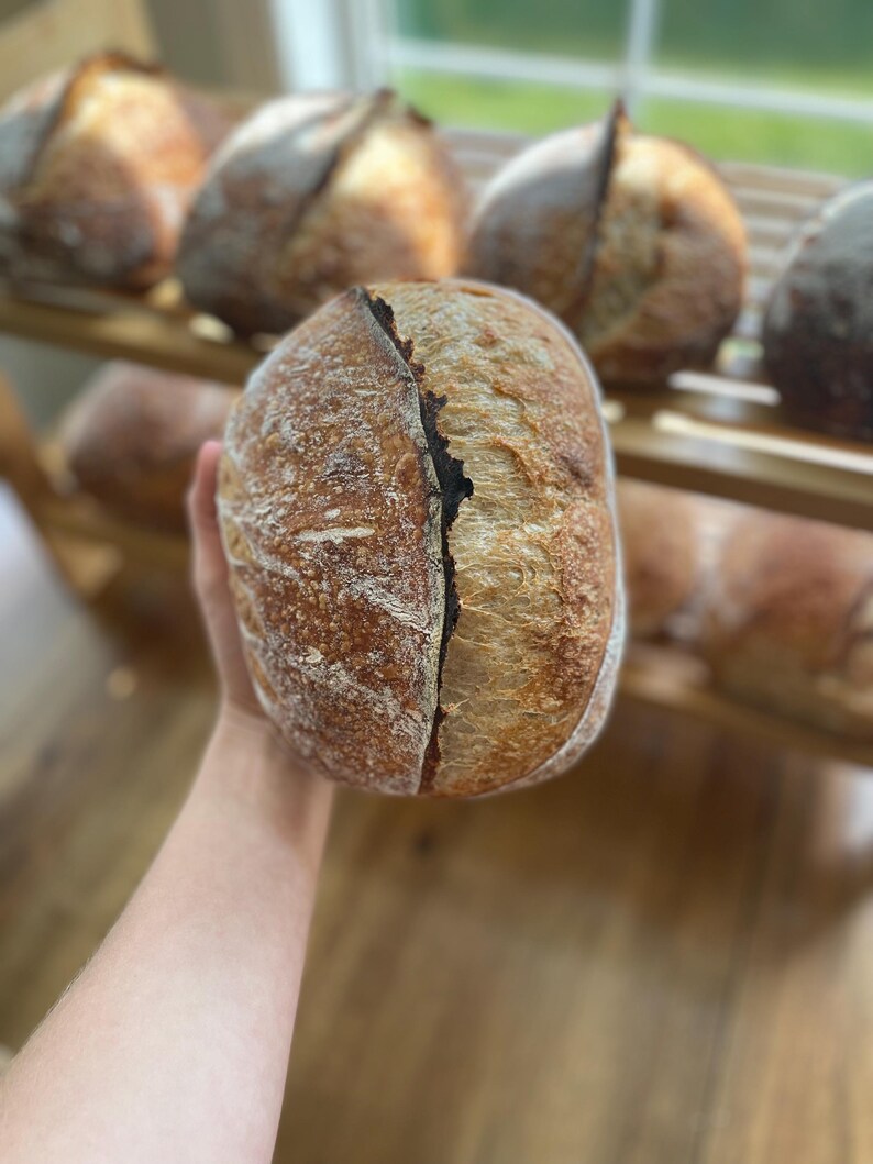 Op de afbeelding: Een close-up van een vers gebakken zuurdesembrood met een donkerbruine korst en een lichtbruin interieur. Het brood wordt in een hand gehouden en is klaar om te worden gesneden.