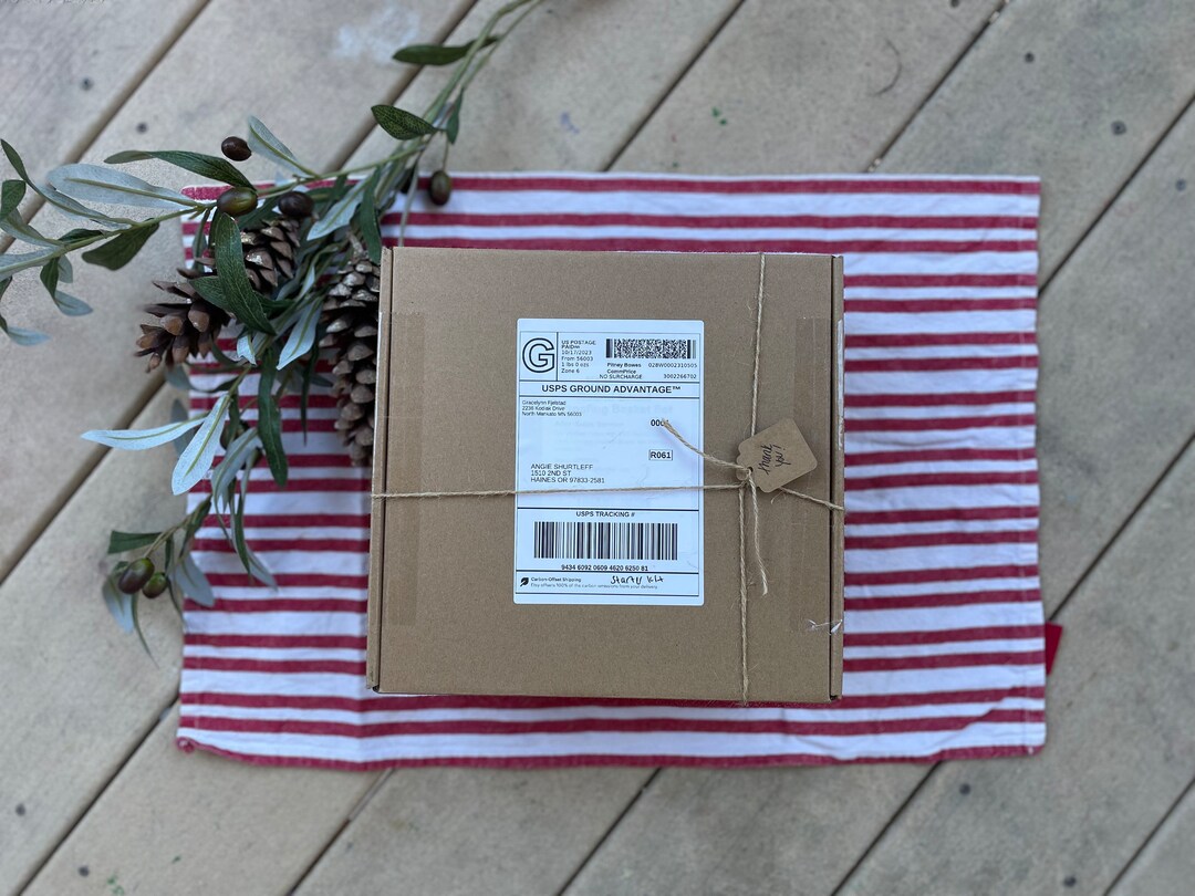 Sourdough Starter Kit live Starter With Bench Knife, Bread