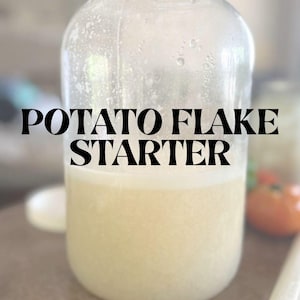 Peut inclure: Un bocal en verre transparent rempli d'un liquide jaune clair, avec l'inscription "POTATO FLAKE STARTER" en noir. Le bocal semble faire partie d'un processus de préparation culinaire, avec un arrière-plan flou.