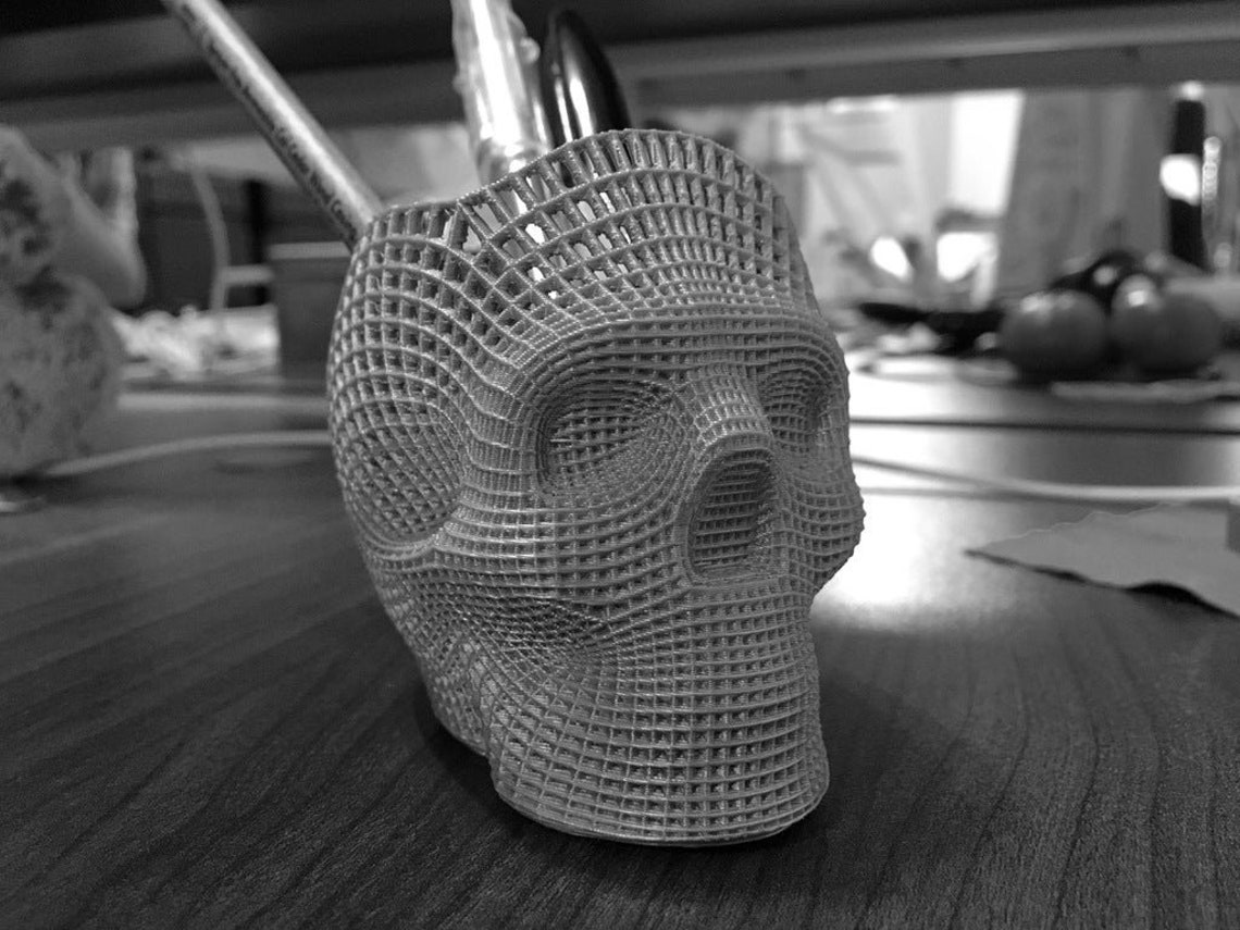 Wireframe Skull Pencil Holder stl file for 3d print Etsy