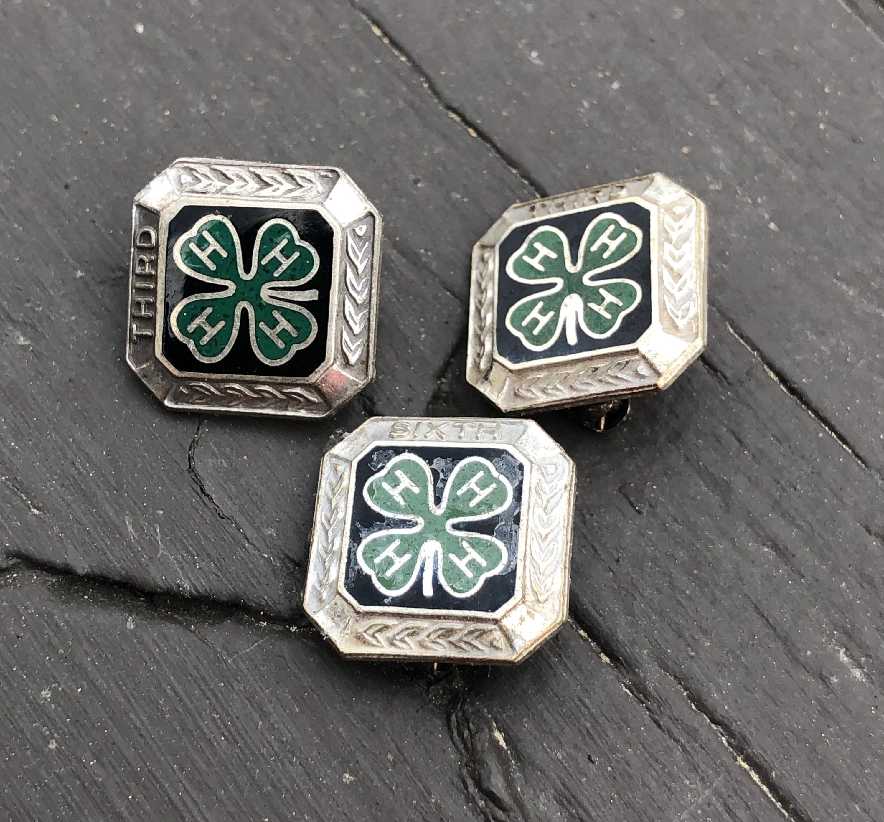 Vintage 4H Sterling Silver and Enamel Pins 4H Award Pins - Etsy