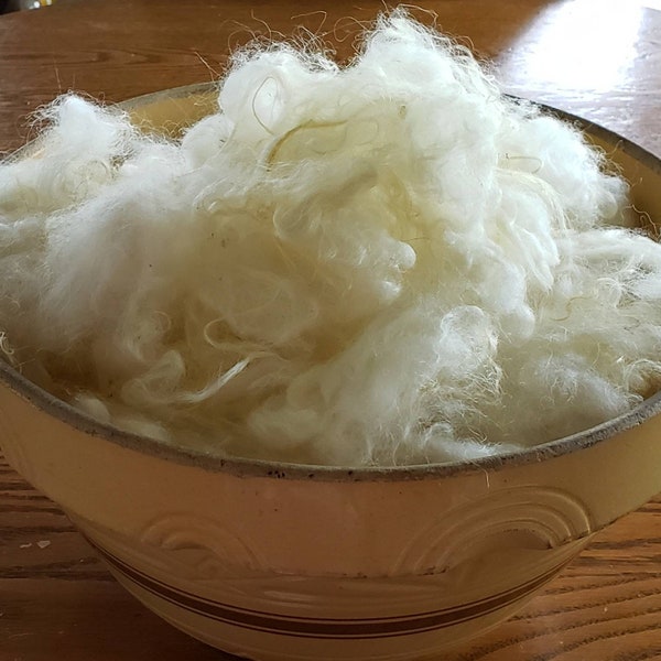 Icelandic Lamb's Locks - Hand washed 6 to 10 + inches - 4 ounces