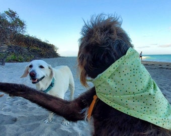 Spring Green Dog Bandana