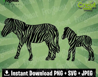 Download Zebra Mandala Svg Etsy