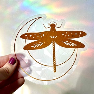 Puede incluir: Una pegatina circular transparente con un diseño de libélula dorada y una luna creciente. La libélula tiene detalles de estrellas y fases lunares en sus alas. La pegatina está sujeta por una mano con esmalte de uñas rojo oscuro.