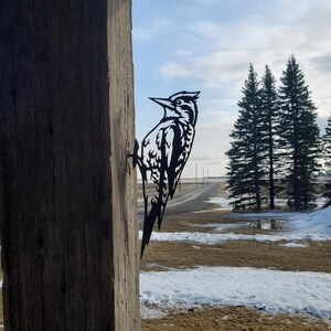 Peut inclure: Une silhouette de pic-bois en métal noir montée sur un poteau en bois. Le pic-bois est tourné vers la droite et ses ailes sont déployées. L'arrière-plan est un paysage enneigé avec des arbres au loin.