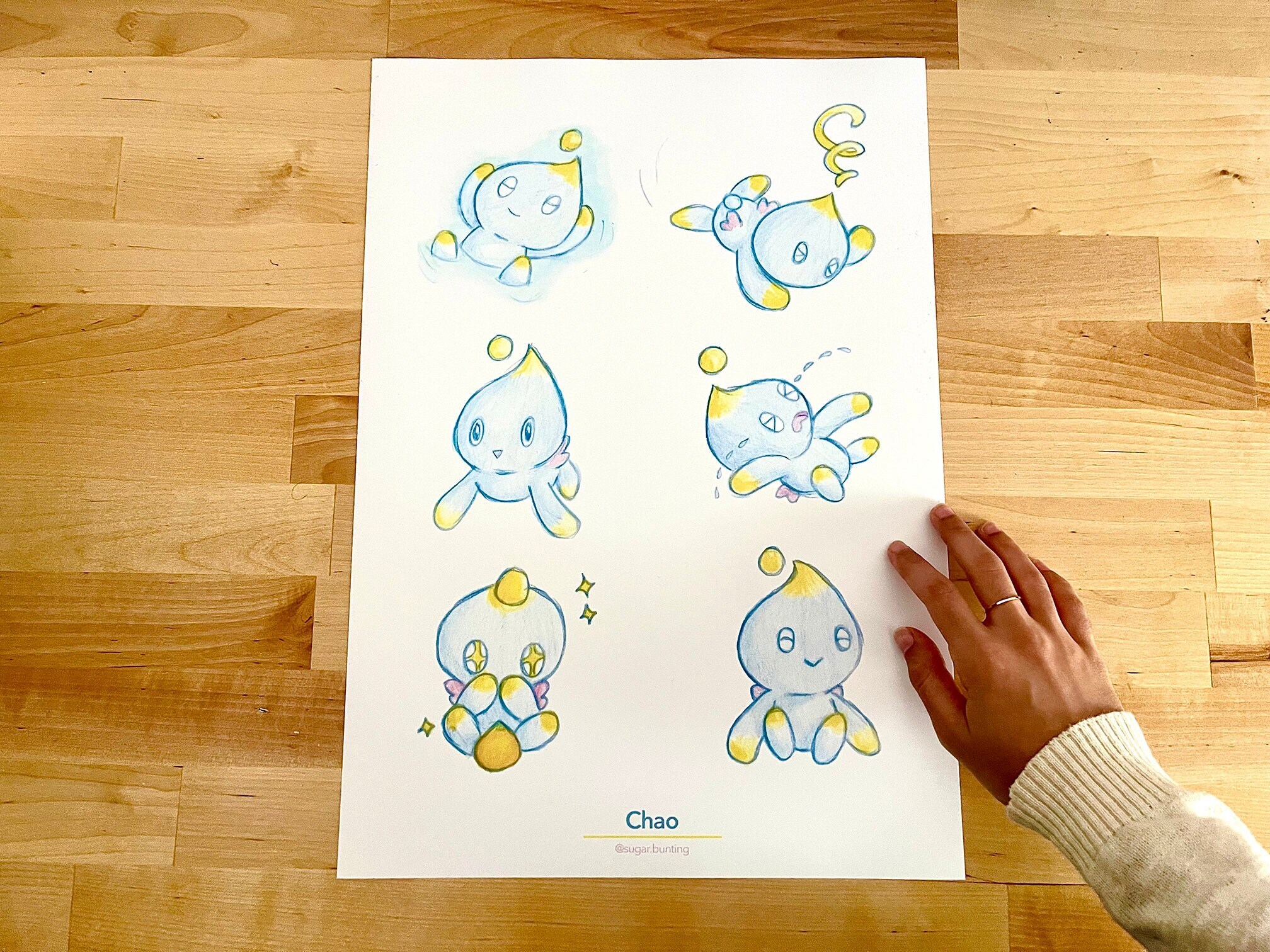 Sonic Channel Japan Official Artwork of the Chao in the Chao
