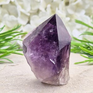 May include: A natural amethyst crystal, displaying a gradient of purple hues, from deep violet to pale lavender. The crystal's raw, faceted form is evident, with visible textures. The background includes white flowers and green leaves.