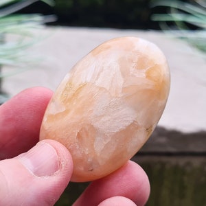 Piedra de palma estilbita, cristal