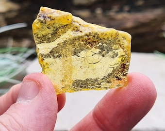 Copal Amber, Colombian