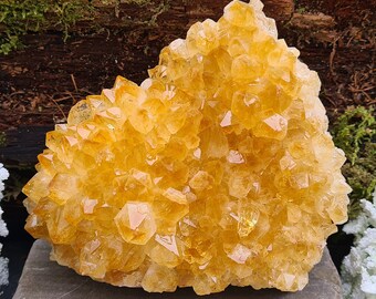 Citrine Cluster | Citrine Druze  | attract abundance & joy | Be more positive and optimistic | Be more creative and imaginative  |  928 gm
