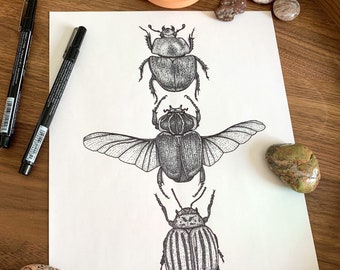 Impresión de escarabajo, dibujo de la naturaleza, regalos de estilo rural, decoración bohemia ecléctica, impresión artística de insectos, regalo de cumpleaños único para ella, regalos inspirados en la naturaleza