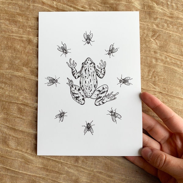 Black and White Nature Drawing, Frog Art Print, Goblincore Art, Earthy Home Decor, Cottagecore Aesthetic, Gift for Nature Lover, Kids Room