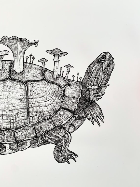 Turtle Art Print Cottagecore Mushroom Print Goblincore - Etsy