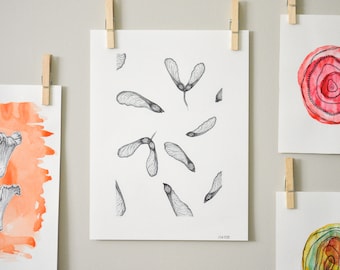 Helicopter Print, Nature Drawing, Eclectic Boho Decor, Cottagecore Gift, Maple Seedling, Unique Birthday Gift for Her, Nature Inspired Gifts