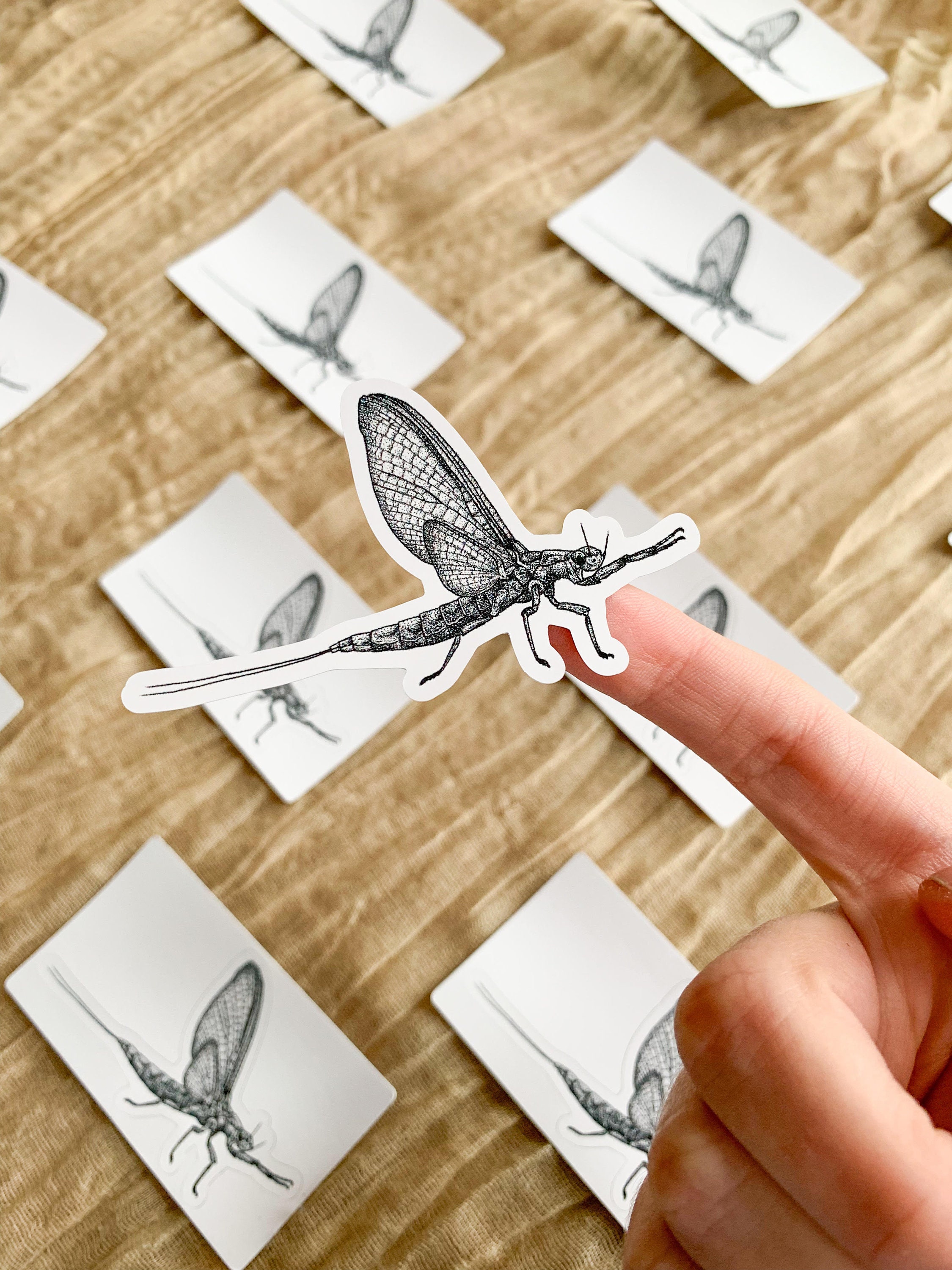 Waterproof Vinyl Sticker for Water Bottle, Nature Laptop Sticker, Insect Lover Gift, Shad Fly, May Flies, North Bay Ontario, Granola Girl