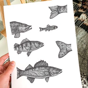 Fishing Ink Print -  Canada