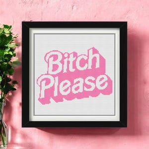 Bitch Please Cross Stitch Pattern PDF | Funny Pink Retro Art | Snarky Feminist Embroidery Design for Modern Stitchers - Instant Download