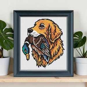Puede incluir: Imagen de punto de cruz de un golden retriever sosteniendo un pato en la boca. El perro está representado en tonos marrones y dorados, con una representación detallada de las coloridas plumas del pato. La obra está enmarcada en un marco azul oscuro.