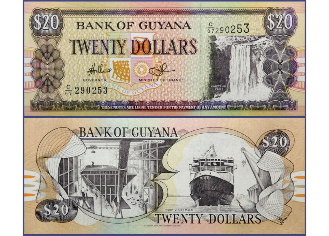 Authentic World Banknotes Guyana 20 Dollar Foreign Currency Etsy