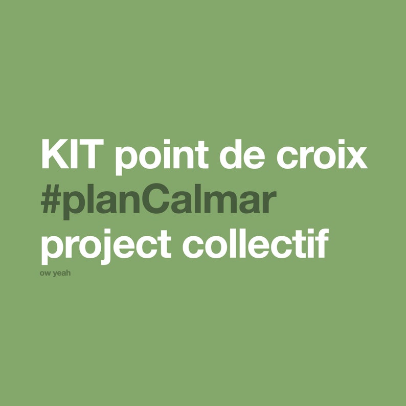 kit complet DIY pour project broderie collectif image 1