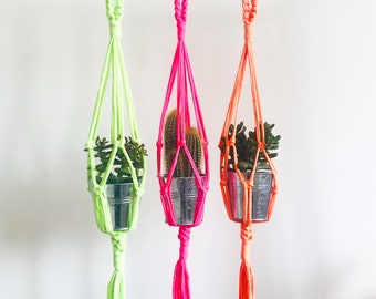 Small macrame plant hanger/ mini cactus
