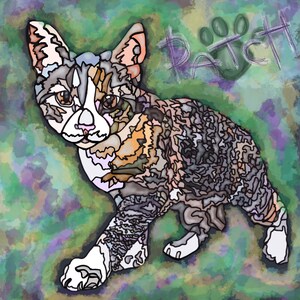 Patch the Purrrfect