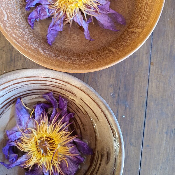 Blue Lotus Flower Etsy