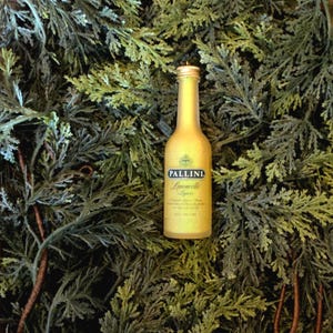 May include: A small, gold-colored bottle of Pallini Limoncello liqueur, with a gold cap and a label, sits atop a bed of green foliage. The bottle is the focal point, with the green foliage providing a natural backdrop.