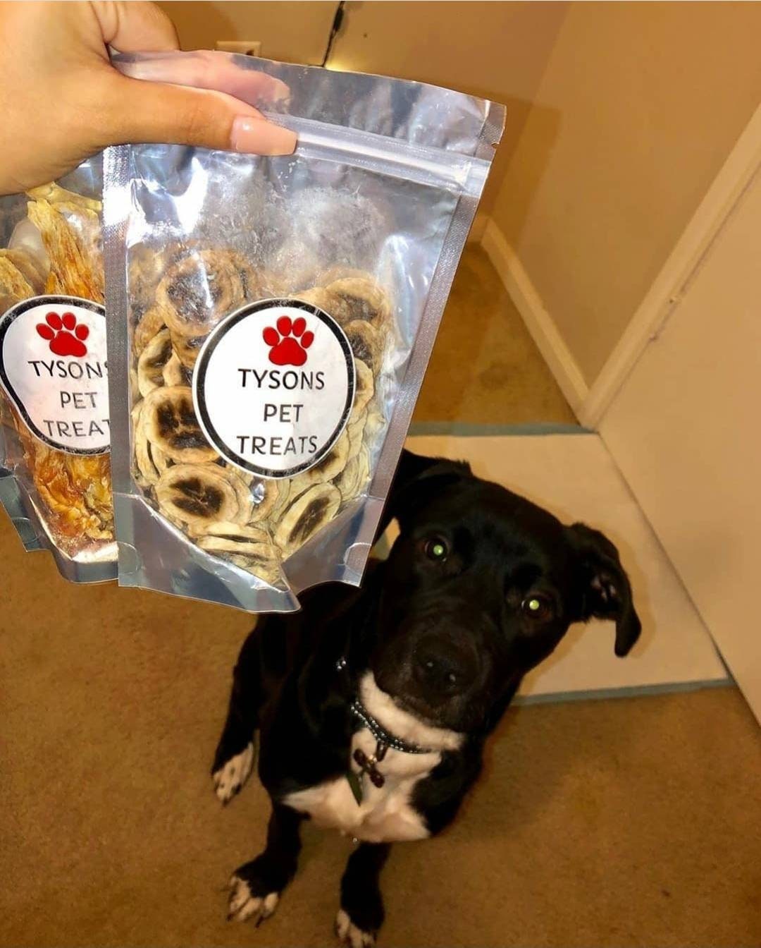 Dog Banana Chips Gourmet Banana Bites for Pets All Natural Etsy