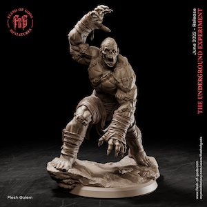 3D Printed Flesh Golem Miniature for Tabletop RPGs