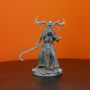 Night Hag Resin Miniature: 14K 3D Print, D&D RPG Model