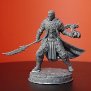 Rolen the Blade of Wisdom Resin Mini - 14K 3D Printed D&D Model