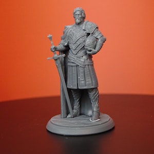 Guild Commander Resin Miniature: 14K 3D Printed RPG Model