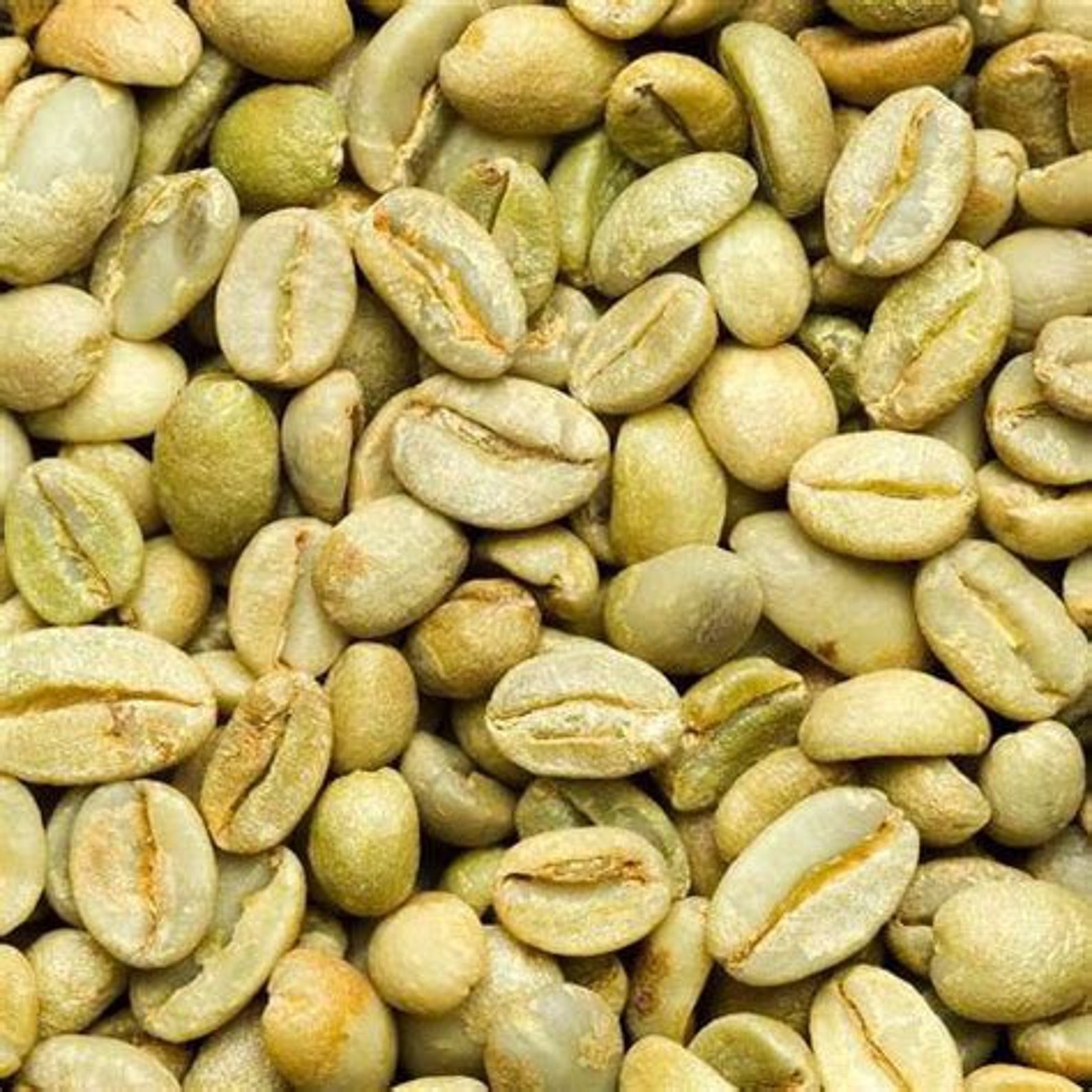 Ethiopian Green Coffee Beans Perfect Yirgacheffe Unroasted Etsy