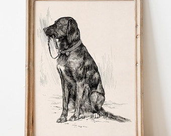 Antique Dog Sketch Print, Antique Pet Portrait, Black Labrador Art Print, Dog Aesthetic Drawing, Vintage Dog Portrait, Printable Wall Art
