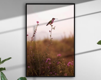 Wydruk kolibra, kolibry ścienne, wydruki ptaków, kolorowa fotografia ptaków, wydruk natury, sztuka ptaków, kolibry do wydrukowania