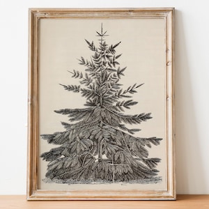 Schizzo di un albero di pino di Natale antico, arte dell'albero di Natale vintage, arte murale neutra dell'albero di Natale, stampa dell'albero di Natale, arte murale stampabile