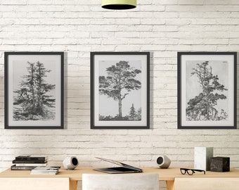 Trees Etching Set of 3, Vintage Tree Print, Antique Sketch, Gallery Wall Art, Trees Drawings Set, Rustic Sketch, Botanical Art