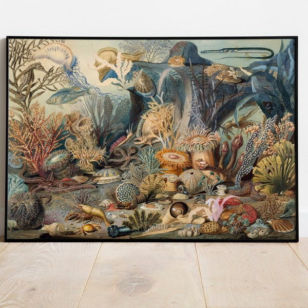 Sea Life Wall Art Etsy