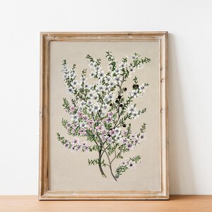 Antique Flower Drawing, Botanical Art Print, Vintage Flower Drawing, Flower Print, Neutral Wall Art, Printable Artwork, Wildflower Wall Art