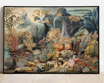 Antique Ocean Life Printable Art, Underwater Scene, Vintage Sea, Marine Biology Art, Sea Life Wall Art, Marine Life, Vintage Ocean Print