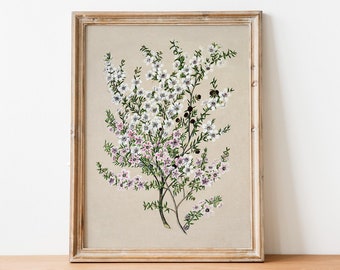 Antique Flower Drawing, Botanical Art Print, Vintage Flower Drawing, Flower Print, Neutral Wall Art, Printable Artwork, Wildflower Wall Art
