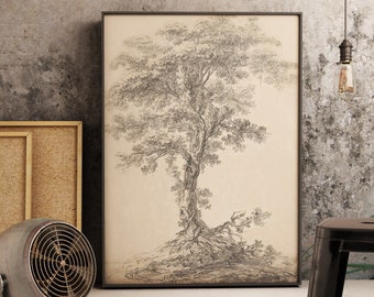 Vintage Tree Sketch, Vintage Tree Print, Antique Sketch, Pencil Drawing, Gallery Wall Art, Trees Drawing, Printable Art, Downloadable Art