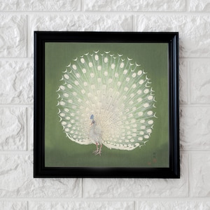 Vintage Japanese White Peacock Painting by Ohara Koson, Peacock Art Print, Peacock Wall Art, Peacock Wall Decor, Peacock Illustration